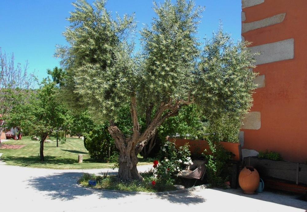 Posada Tresmentiras الديانويفا ديل كامينو المظهر الخارجي الصورة